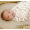 LISM 33x42 Inch Cozy Baby Blanket, 2 Pack Soft Ribbed Swaddle Receiving Blankets - 3 of 4