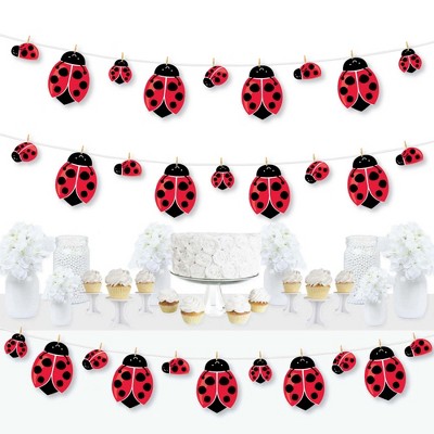 Big Dot of Happiness Happy Little Ladybug - Baby Shower or Birthday Party DIY Decorations - Clothespin Garland Banner - 44 Pieces