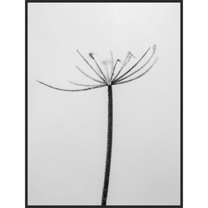 32" x 42" Amid The Flowers 6 by Teis Albers Framed Canvas Wall Art Print - Amanti Art: Modern Lithograph, Polystyrene Frame - 1 of 4