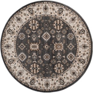 Lyndhurst LNH332 Power Loomed Indoor Rugs - Safavieh - 1 of 4