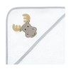 Hudson Baby Infant Boy Animal Hooded Towel 3pk and 15 Washcloths, Woodland, One Size - 3 of 4