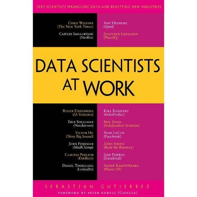 Data Scientists at Work - by  Sebastian Gutierrez (Paperback)