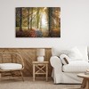 Stupell Industries Follow The Light Forest Path Canvas Art - 3 of 4