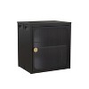 NicBex 16 Inch Foldable Storage Cabinets,Stackable Cabinets with Transparent Door and Adjustable shelf for Living Room,Bedroom,Black - 2 of 4