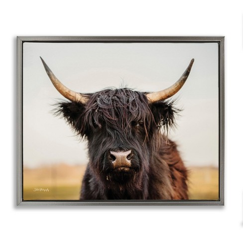 Stupell Industries Black Highland Cow Portrait, 31