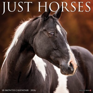 Willow Creek Press 2026 Horses Wall Calendar - 1 of 4