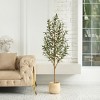 Artificial Olive Tree with Wood Trunk, 5/6/7ft Pencil Faux Olive Trees - UV Resistant Floor Plants for Home Decor - Living Room, Entryway, Foyer - 3 of 4