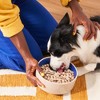 Heckova! Freeze-Dried Raw Chonky Chicken Flavor Recipe Dry Dog Food - 20oz - 4 of 4