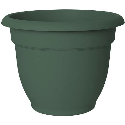 Bloem Terrapot 6.5 in. H X 6 in. D Resin Ariana Planter Thyme Green