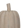 Decorative Paper Mache Pumpkin by Foreside Home & Garden - 4 of 4