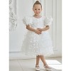 2Bunnies Girls' 3D Butterfly Puff Sleeve Babydoll Fit & Flare Dress - 3 of 4