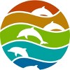 Junior's Design By Humans dolphin art By hkartist T-Shirt - 2 of 3