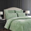 BAGOKIE 5 Pieces Bed in a Bag Comforter Set for All Season - 2 of 4