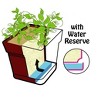 Mintra Garden - 6.75in Square Garden Pot - 3 of 4