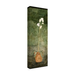 Trademark Fine Art -Pablo Esteban 'White Orchid In Pot On Green' Canvas Art - 1 of 3