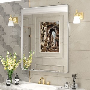 Apmir 30 in. W x 36 in. H Rectangular Aluminum Alloy Framed and Tempered Glass Wall Mirror in Brushed Silver - 1 of 4