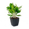 Okak 2 Pack Self-Watering Planter 12.6/10.3 Inch Cube Weather-Resistant Wicker Finish Pot for Patio, Garden, Indoor Plants - 4 of 4