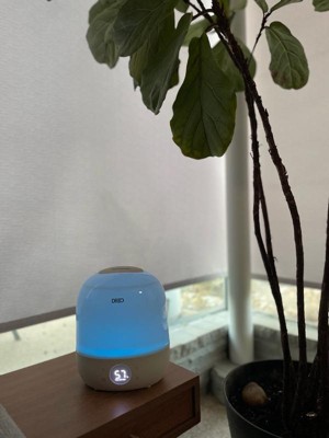 Guest review image 2 of 2, zoom in