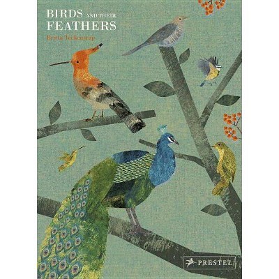 Birds and Their Feathers - by  Britta Teckentrup (Hardcover)