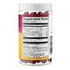 Swanson Premium Elderberry Gummies with Zinc & Vitamin C - Lemon Raspberry, 60 Gummies. - 2 of 2