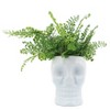 Sagebrook Home Ceramic Skull Vase - Contemporary Decorative Skull Vase for Succulents or Small Plants - Indoor or Outdoor Skull Vase - 3 of 4