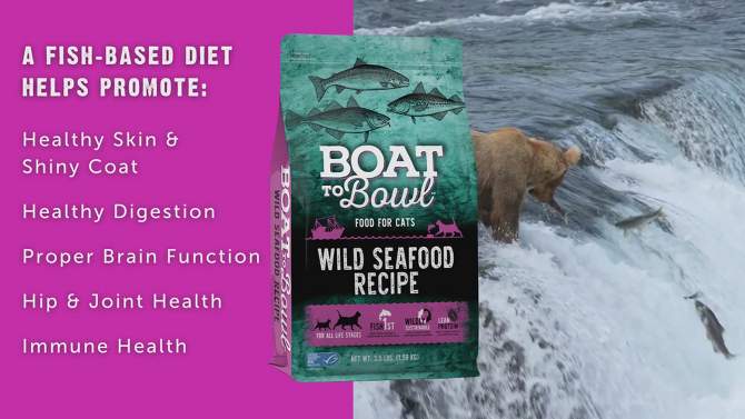 Boat To Bowl Fish, Salmon and Wild Seafood Flavor Recipe Dry Cat Food - 3.5lbs, 2 of 13, play video