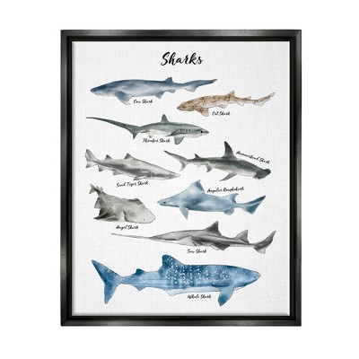 Stupell Industries Nautical Shark Chart Watercolor Marine Animals