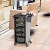 Salon Trolley, Storage Trolley, Stylist'S Equipment Storage Trolley, Hairdryer Holder, 6 Extra Storage Trays and Free Combination Tool, 1 Stand - 3 of 4