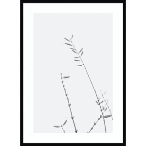 30"x41" Retro Tennessee Botanical Print No 3 by Stephanie Klatt: Amanti Art Vertical Lithograph - 1 of 4