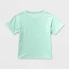 Toddlers 2pk Adaptive Short Sleeve 'Shine/Balloons' Oversized Graphic T-Shirt - Cat & Jack™ Dark Gray/Mint Blue - 2 of 3