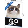 Trends International Grumpy Cat - Go Away Unframed Wall Poster Prints - 3 of 4