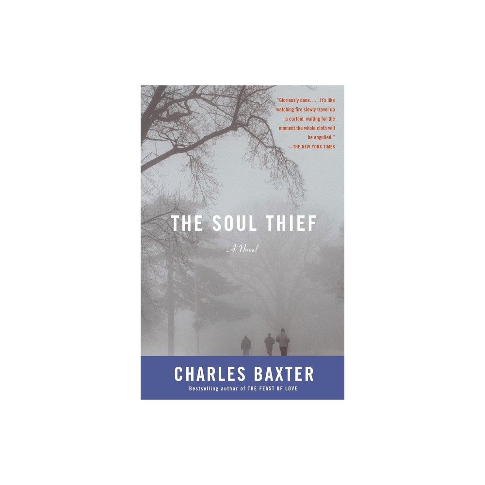 The Soul Thief - (Vintage Contemporaries) by Charles Baxter (Paperback)