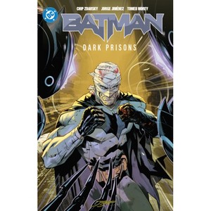 Batman Vol. 4: Dark Prisons - by Chip Zdarksy - 1 of 1