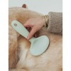 Dexypaws: Slicker Brush - Small - Sage Green, Dog & Cat Grooming Tool - 3 of 4