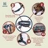 HOOZA Dog Collar - Dog Outdoor Accessory, Pet Safety - Reflective, Magnetic Quick Clip - 2 of 4