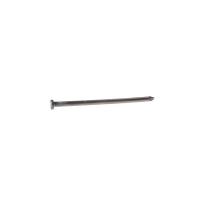 Grip-Rite 12 in. Spike Hot-Dipped Galvanized Steel Nail Flat Head 0.408 lb