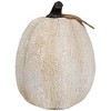 Northlight Knitted Fall Harvest Pumpkin Decoration - 6.25" - Beige - 3 of 4
