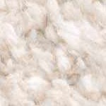 off white, dark brown