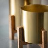 Sullivans Brass Planter Pair On Stands Set of 2, 8.25"H & 6.75"H Gold - 2 of 4