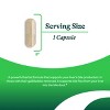 Seeking Health Bile Nutrients, Optimal Support for Gallbladder Health, 5 Nutrients + 9 Herbs, Liver Support, Enhances Fat Digestion (120 capsules)* - 3 of 4