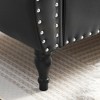 NicBex Ottoman with Storage Bench Storage Organizer Ottoman Velvet Multifunctional Storage Bench with 1 Pillow for Entryway Bedroom - 3 of 4