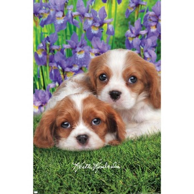 Trends International Keith Kimberlin - White Golden Retriever Puppies  Unframed Wall Poster Prints : Target