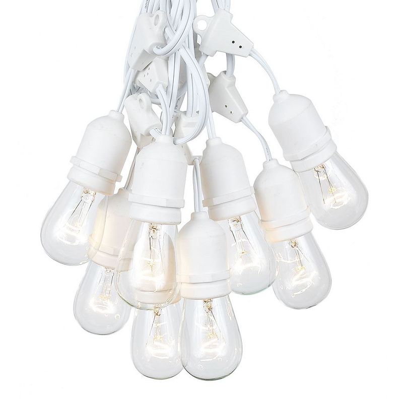 Novelty Lights Edison Outdoor String Lights with 50 Suspended Sockets White Wire 100 Feet, 1 of 6