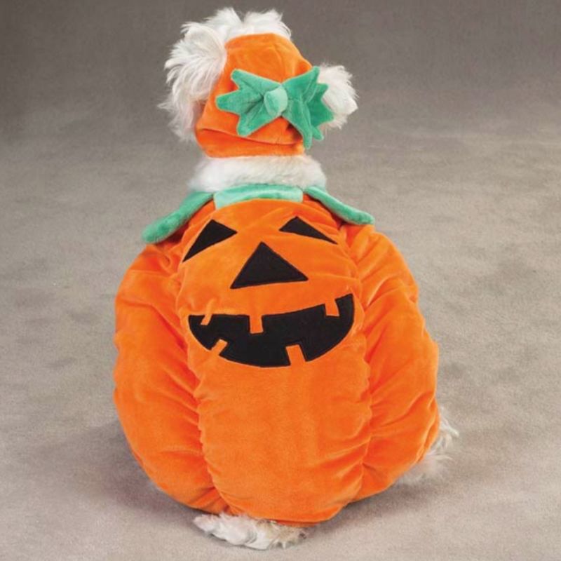 Zack & Zoey Pumpkin Pooch Dog Costume, 4 of 12