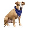 Qraftsy Plain Cotton Pets 5 Pcs Dogs Bandana Triangle Shape  - Large Pets - 2 of 4