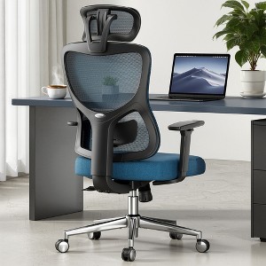 MAYEERTY Ergonomic Mesh Home Office Chair with Headrest, Adjustable Lumbar Support, 3D Armrests, Blue - 1 of 4