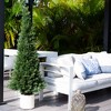 Nearly Natural 5-ft UV Resistant Artificial Cedar Tree in Decorative White Planter (Indoor/Outdoor) - 4 of 4