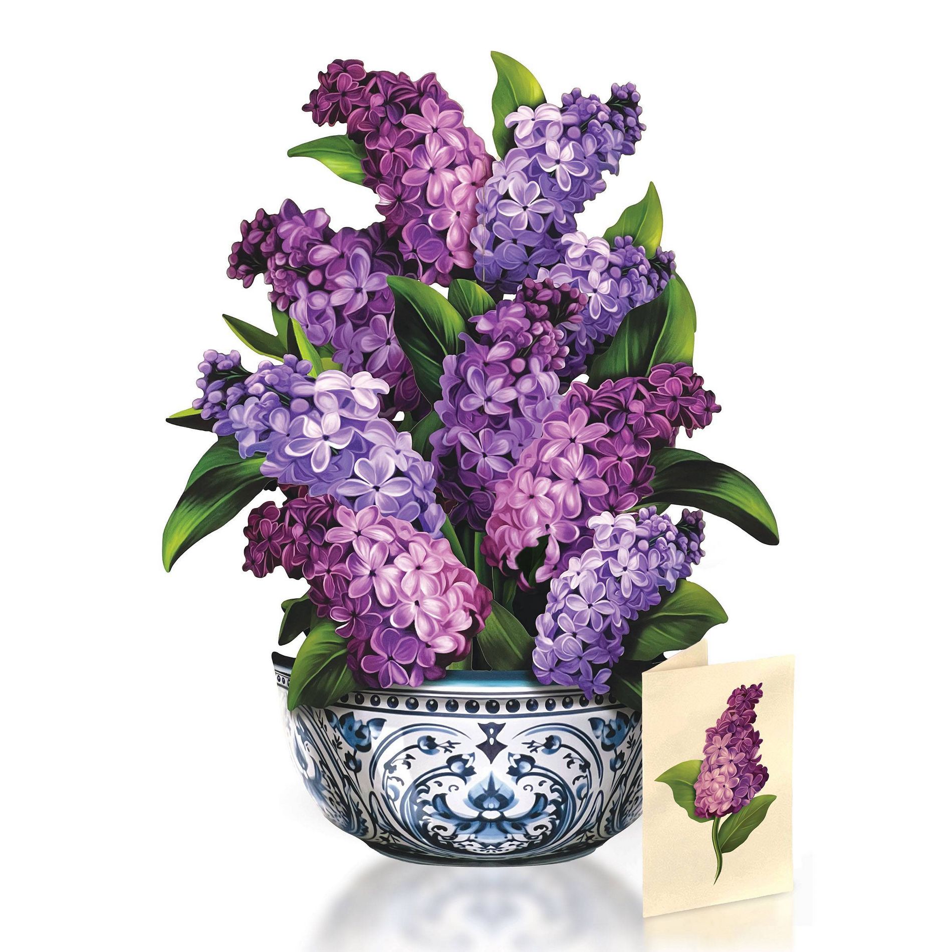 FreshCut Paper 12" Garden Lilacs 3D Pop Up Flower Bouquet Greeting Card and Envelope