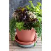 The HC Companies Indoor/Outdoor Classic Plastic Flower Pot Container Garden Planter with Molded Rim - 4 of 4