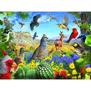 Sunsout Texas Birds 1000 pc   Jigsaw Puzzle 70939 - 1 of 4